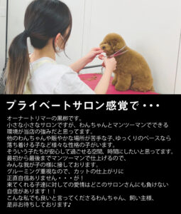 Beate（ベアテ）｜岡崎市のグルーミングサロン｜トリミング・ドッグサロン