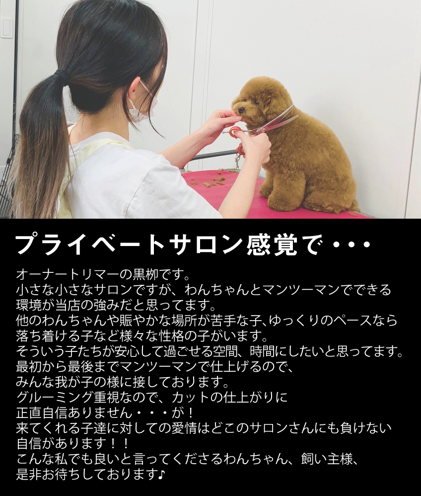メニュー｜岡崎市でドッグサロン・トリミングなら「Beate（ベアテ）」にお任せください
