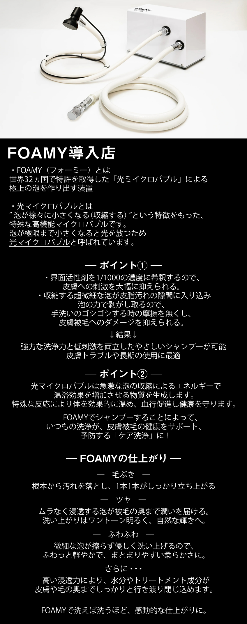 メニュー｜岡崎市でドッグサロン・トリミングなら「Beate（ベアテ）」にお任せください