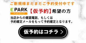 Beate（ベアテ）｜岡崎市のグルーミングサロン｜トリミング・ドッグサロン