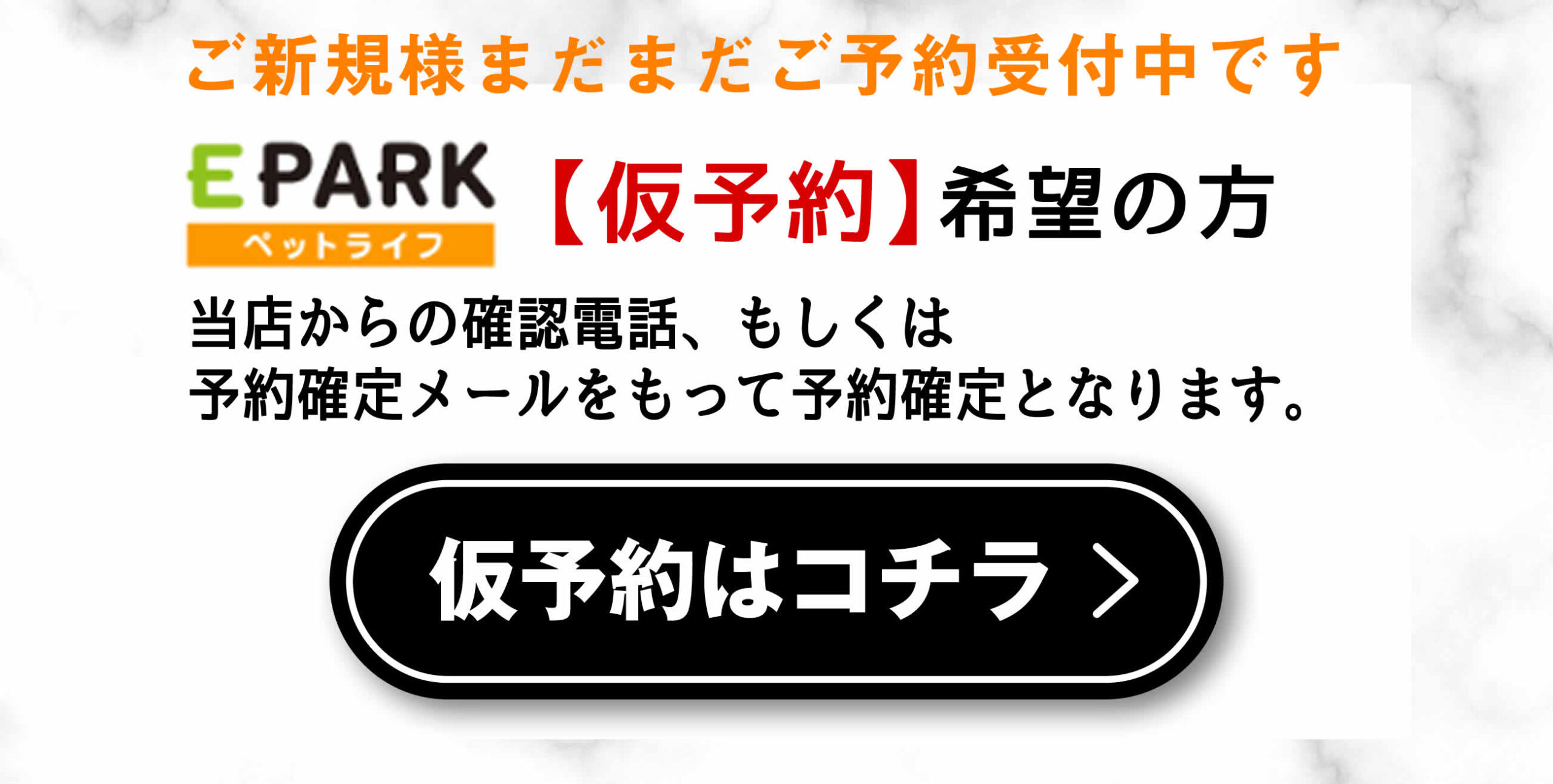 予約｜岡崎市でドッグサロン・トリミングなら「Beate（ベアテ）」にお任せください